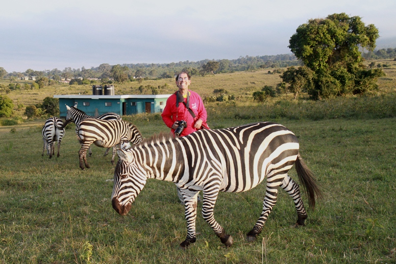 bob and zebras